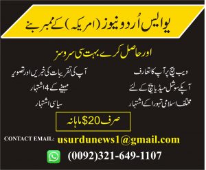 Buy UrduPaper Theme